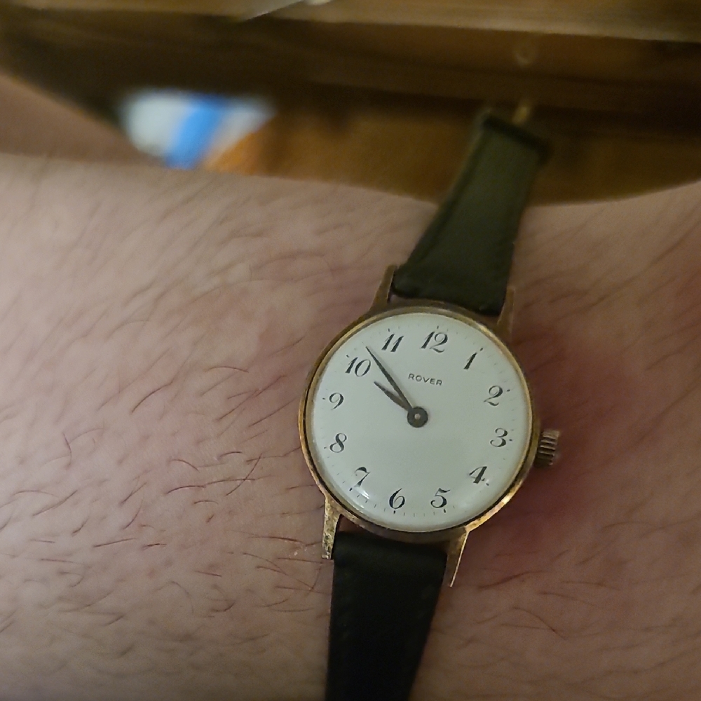 Rover Classic Black and Gold Watch